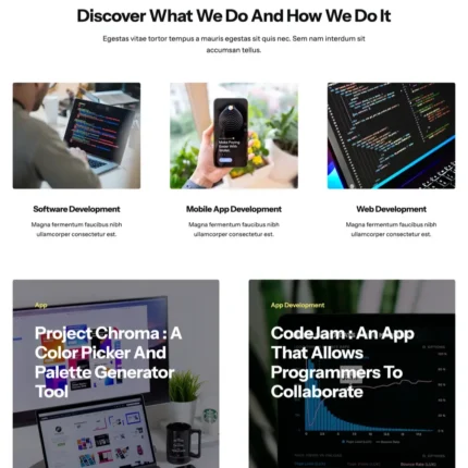 Programmer Website Design with Free VPS Web Hosting