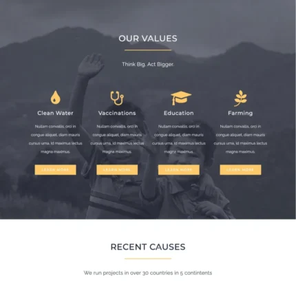 Welfare Website Design with Free VPS Web Hosting