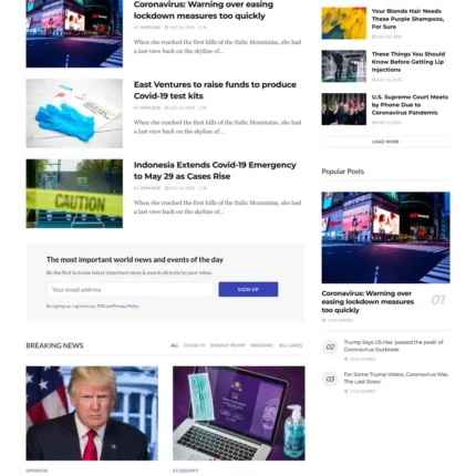 News Plus Website Design with Free VPS Web Hosting