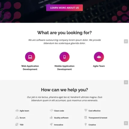 Software Company Website Design with Free VPS Web Hosting
