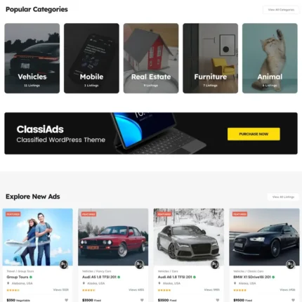 Best Classified Website Design with Free VPS Web Hosting