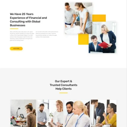 Business Consultation Website Design with Free VPS Web Hosting
