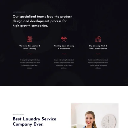 Laundry Service Website Design with Free VPS Web Hosting